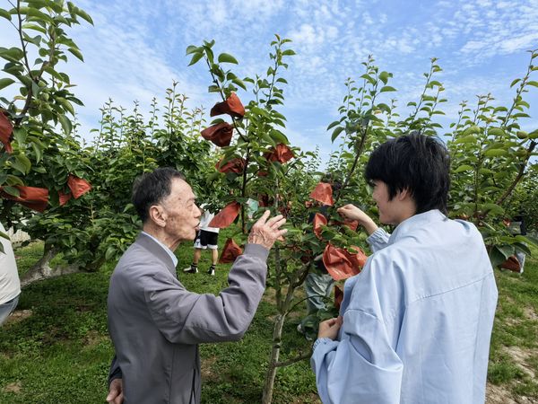 劳动世界杯网站平台站线登录入口与欧洲