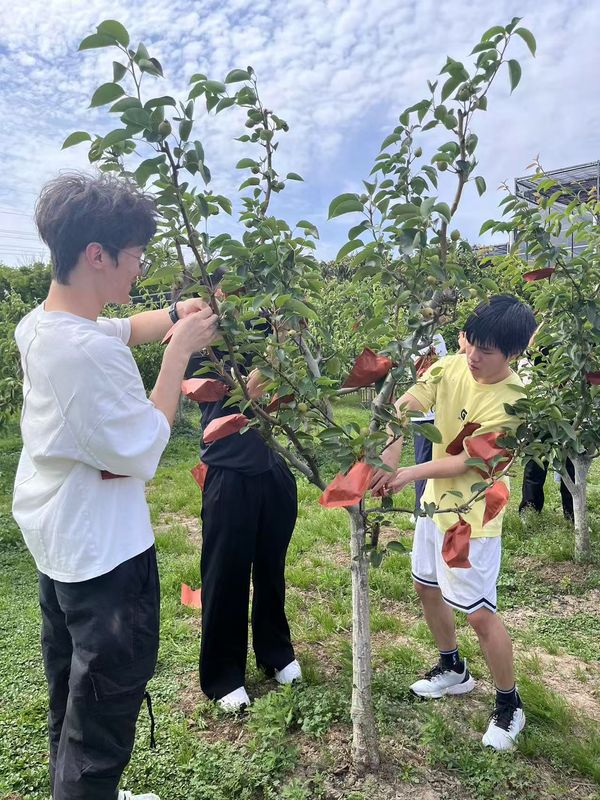厚植劳动情怀的重要载体