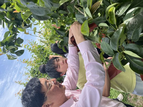 组织部阅读次数
